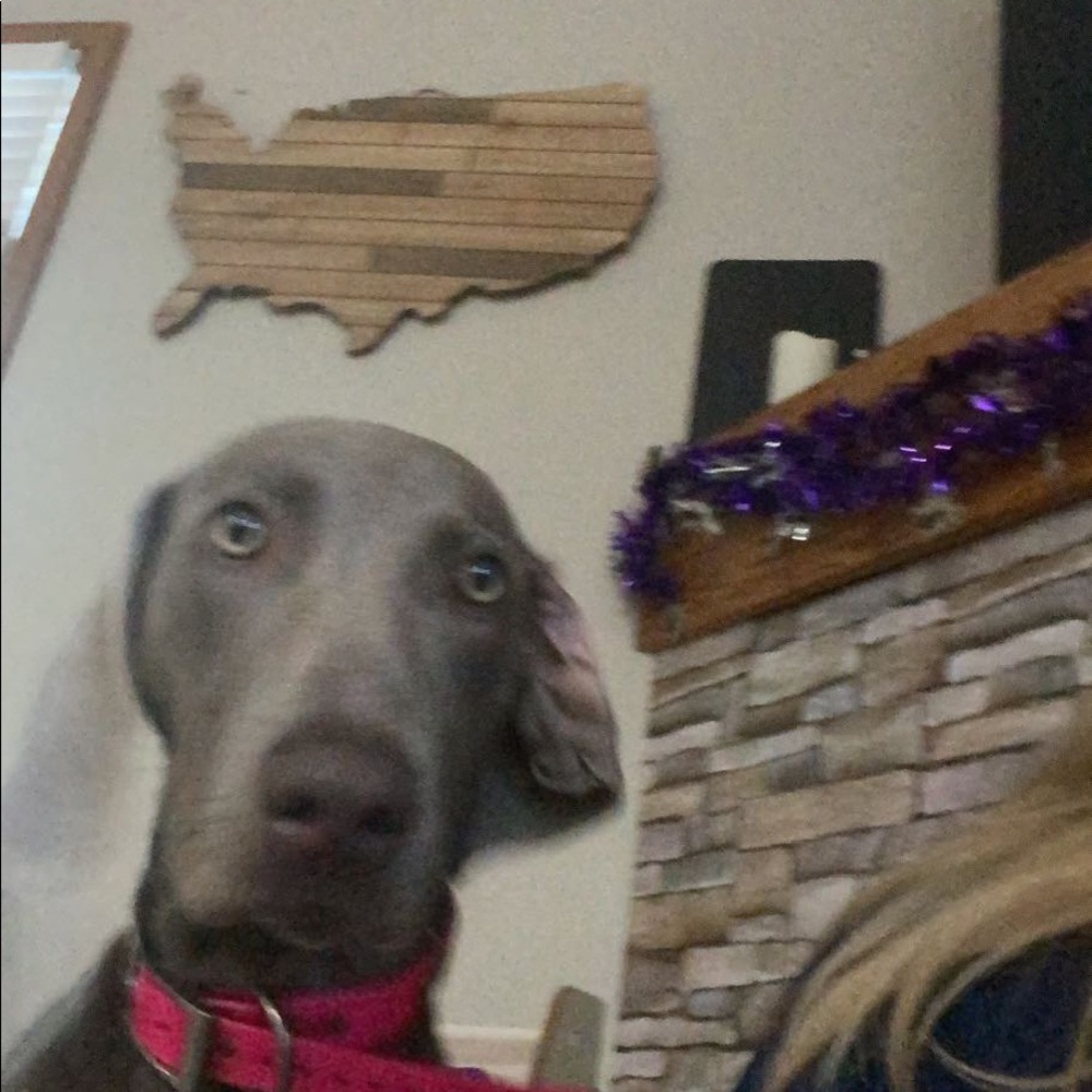 Meet your Posher, Jaiden